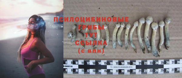 ГАЛЛЮЦИНОГЕННЫЕ ГРИБЫ Алзамай