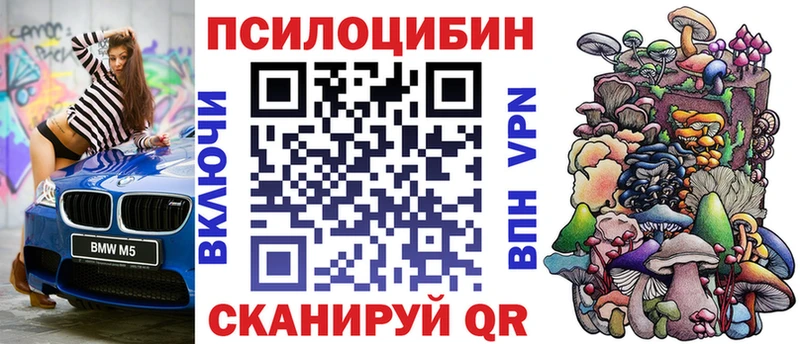 Псилоцибиновые грибы Cubensis  Королёв 